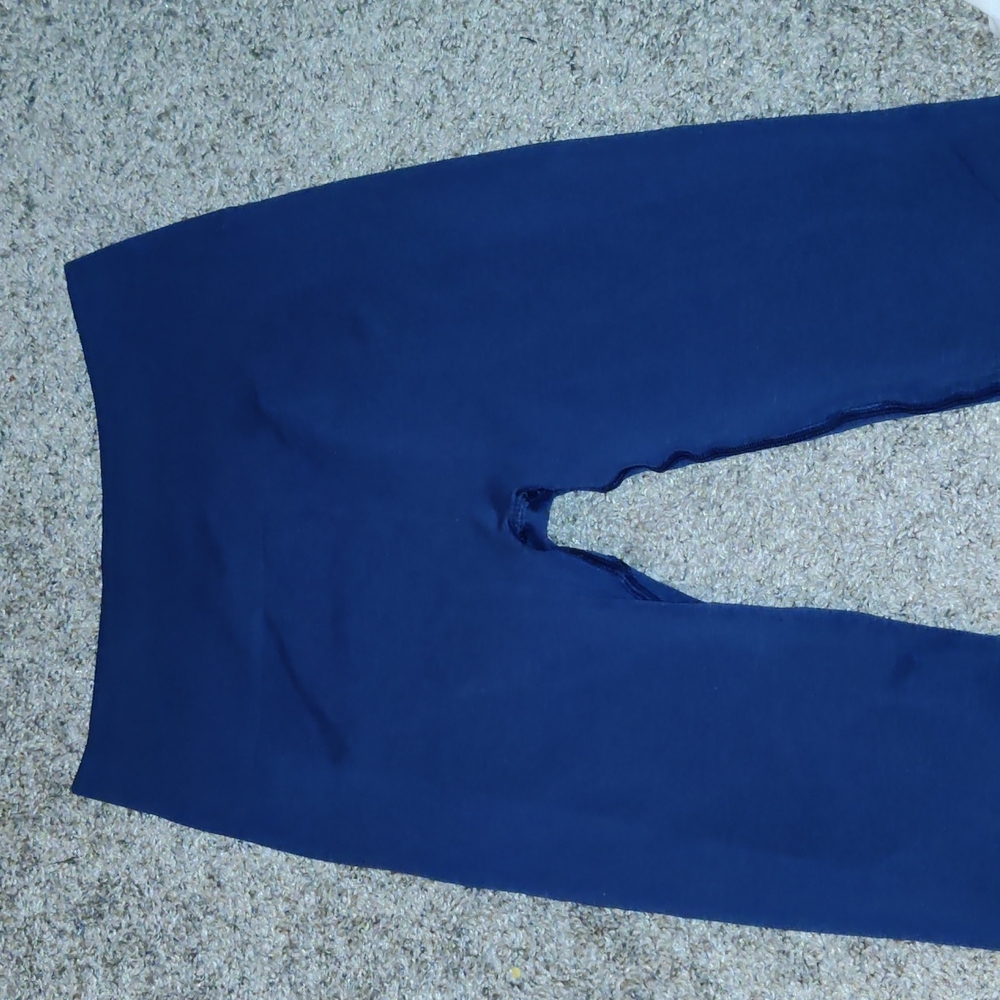 Alphalete Amplify Leggings in color Oceania